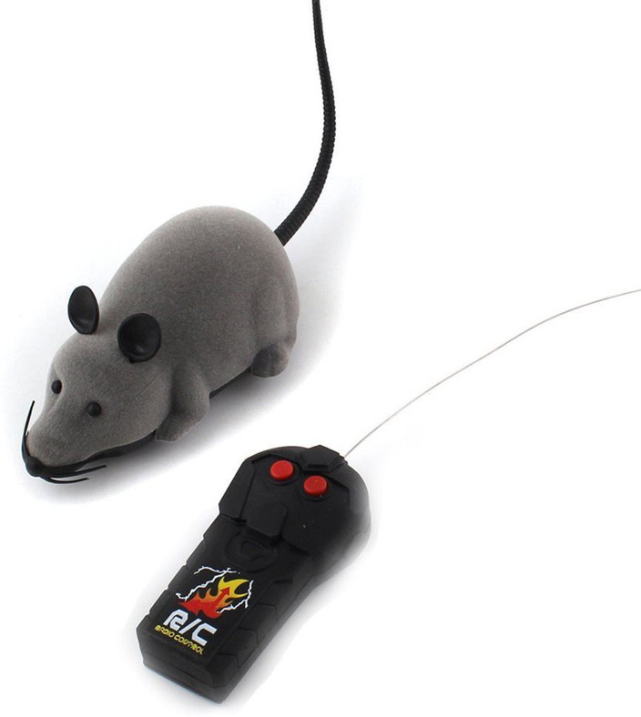 Rate Remote Control Toys for proactive pets